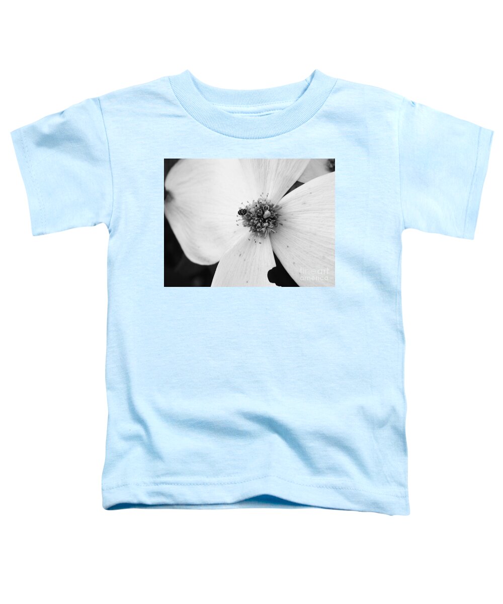 Flower Toddler T-Shirt featuring the photograph Dogwood Black and White 2 by Andrea Anderegg