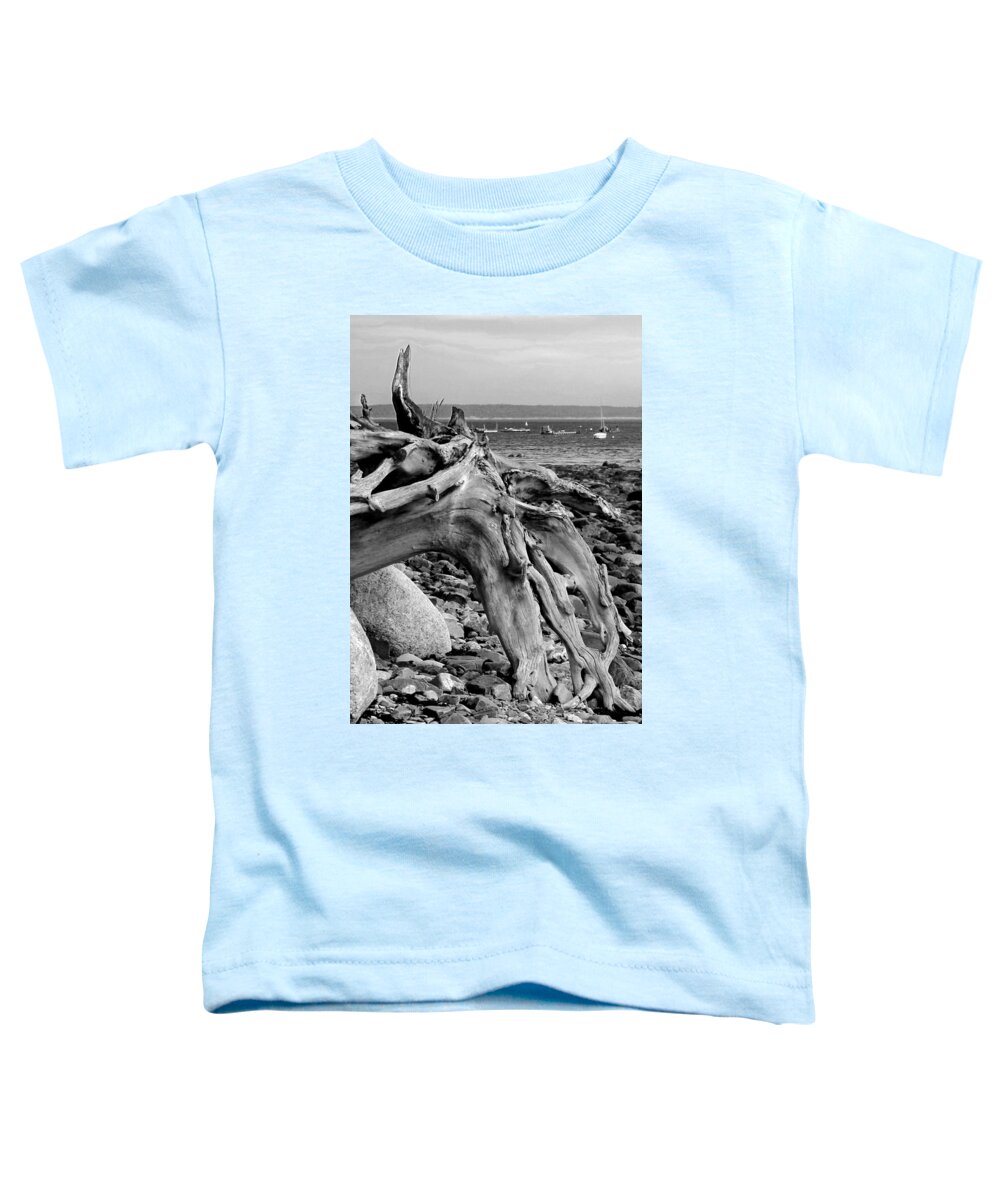 Driftwood On Rocky Beach Toddler T-Shirt featuring the photograph Driftwood on Rocky Beach by Jemmy Archer
