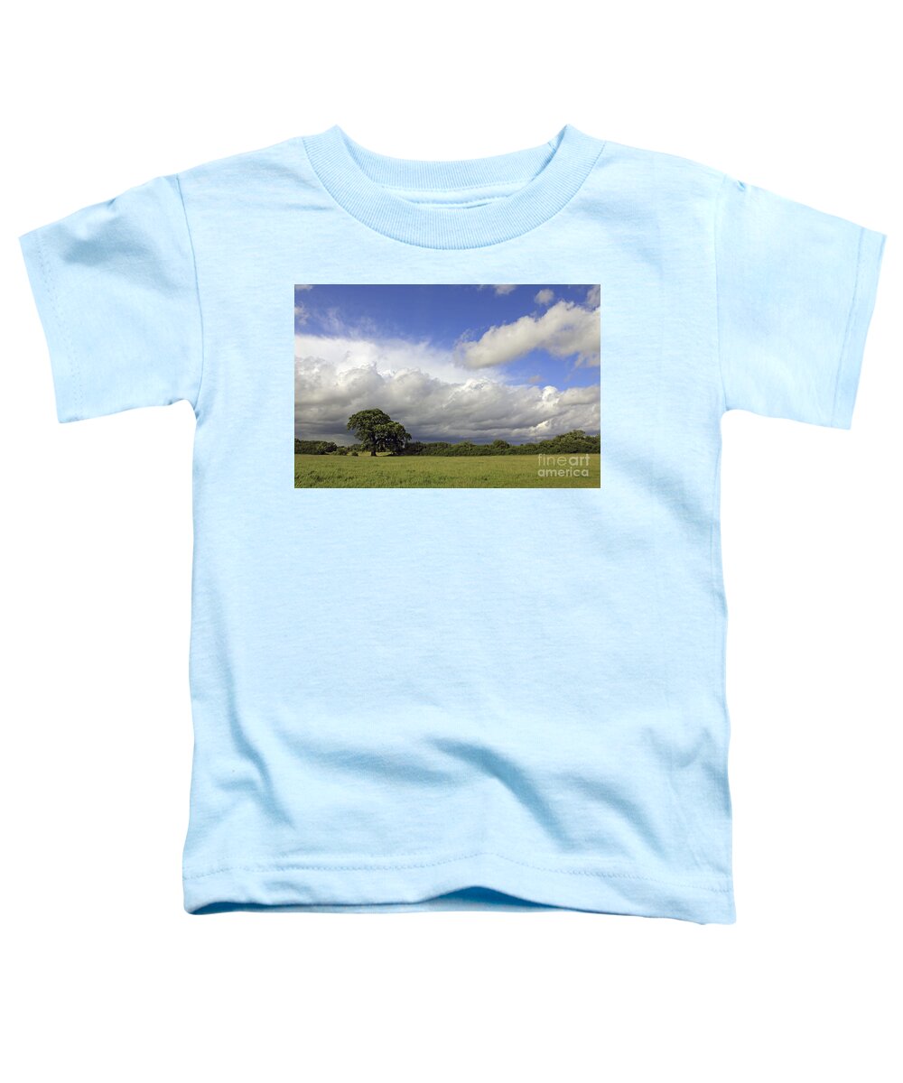English Oak Under Stormy Skies Landscape Countryside English British England Clouds Dramatic Storm Cloud Fluffy Toddler T-Shirt featuring the photograph English Oak under Stormy Skies by Julia Gavin