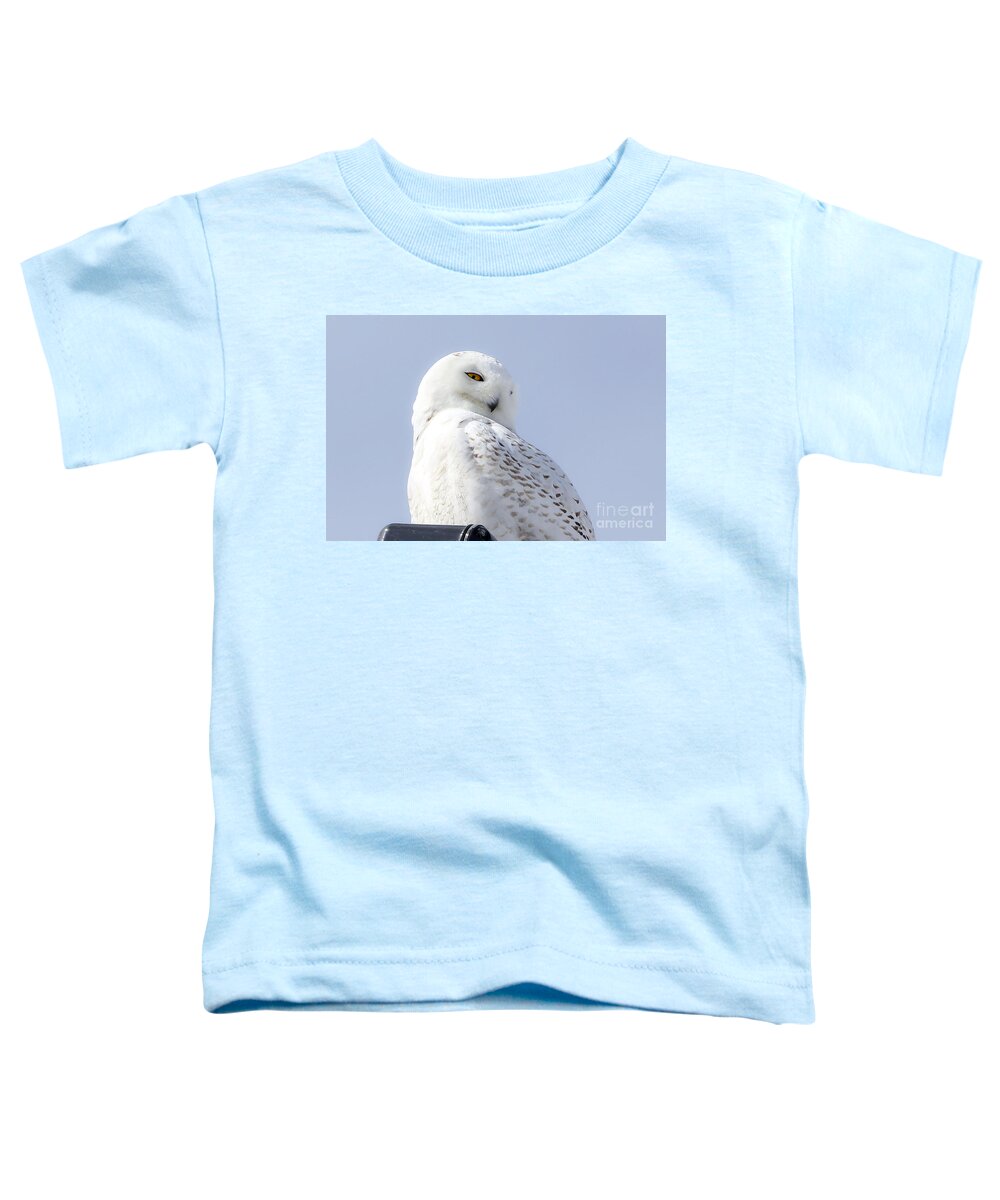 Maine Toddler T-Shirt featuring the photograph Eyes on You by Karin Pinkham