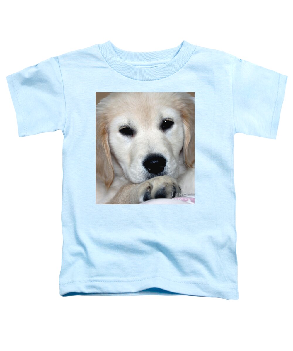 Fiona Toddler T-Shirt featuring the photograph Fiona the English Cream by Debbie Hart
