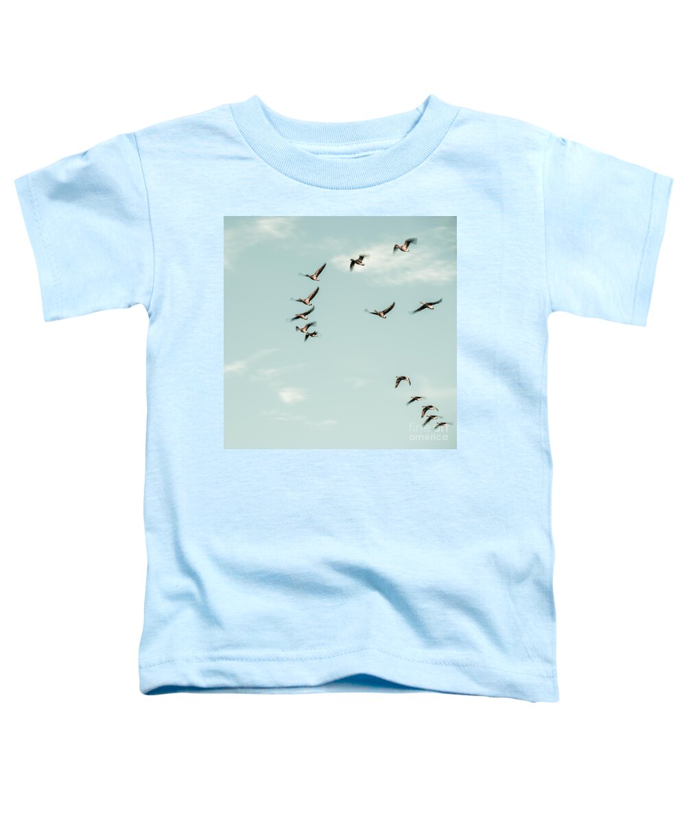 Ammersee Toddler T-Shirt featuring the photograph Flight Of The Goose by Hannes Cmarits