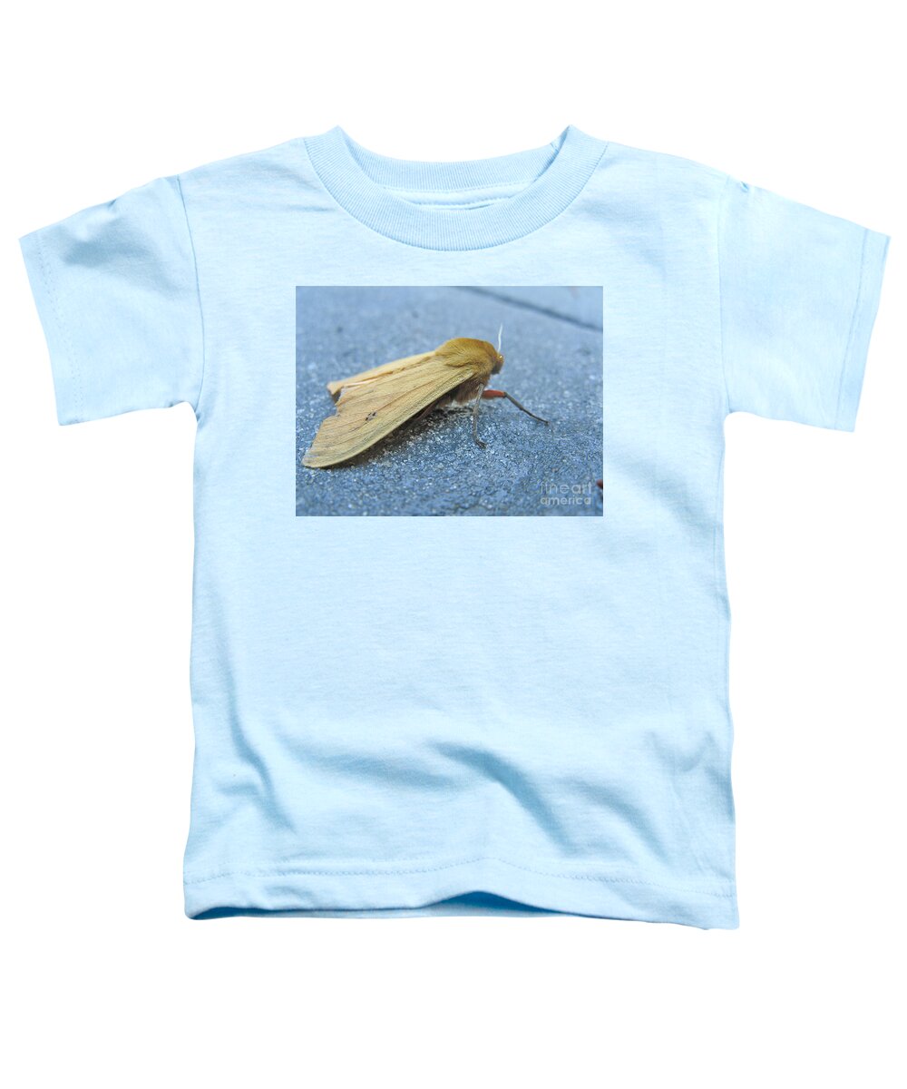 Moths Toddler T-Shirt featuring the photograph Fokker Moth by Christopher Plummer