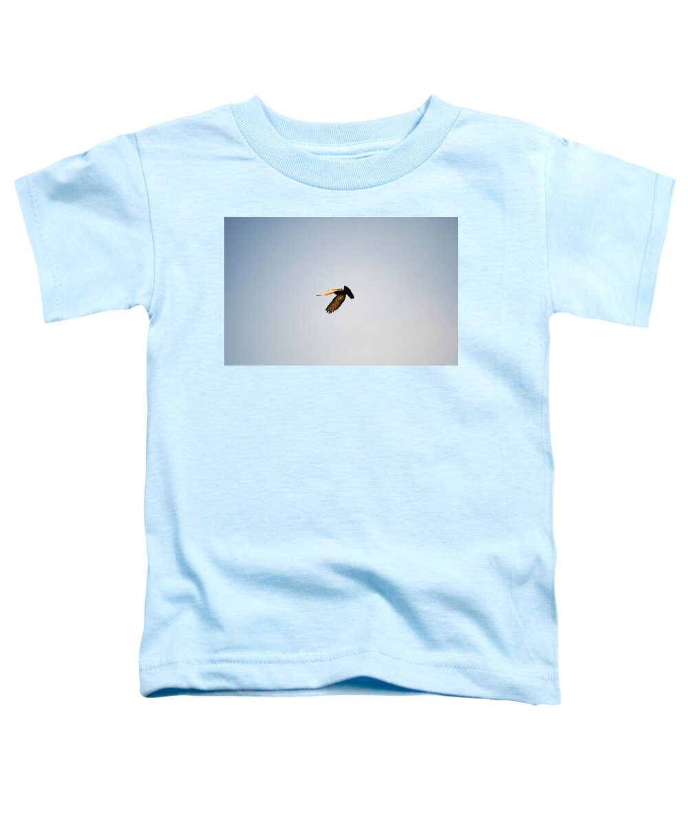 Sky Toddler T-Shirt featuring the photograph Freedom 4 by Sumit Mehndiratta
