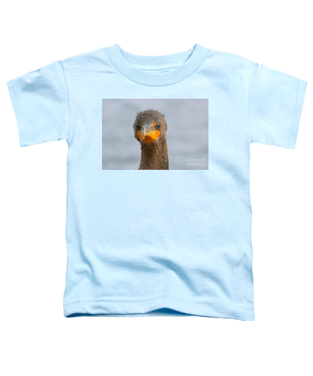 Alive Toddler T-Shirt featuring the photograph Funny looking Bird by Amanda Mohler