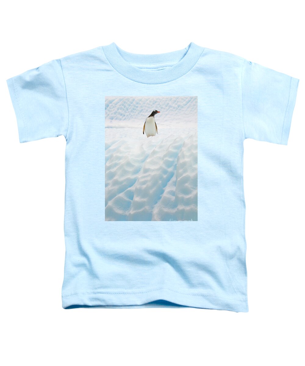 00345883 Toddler T-Shirt featuring the photograph Gentoo Penguin On Blue Iceberg by Yva Momatiuk John Eastcott