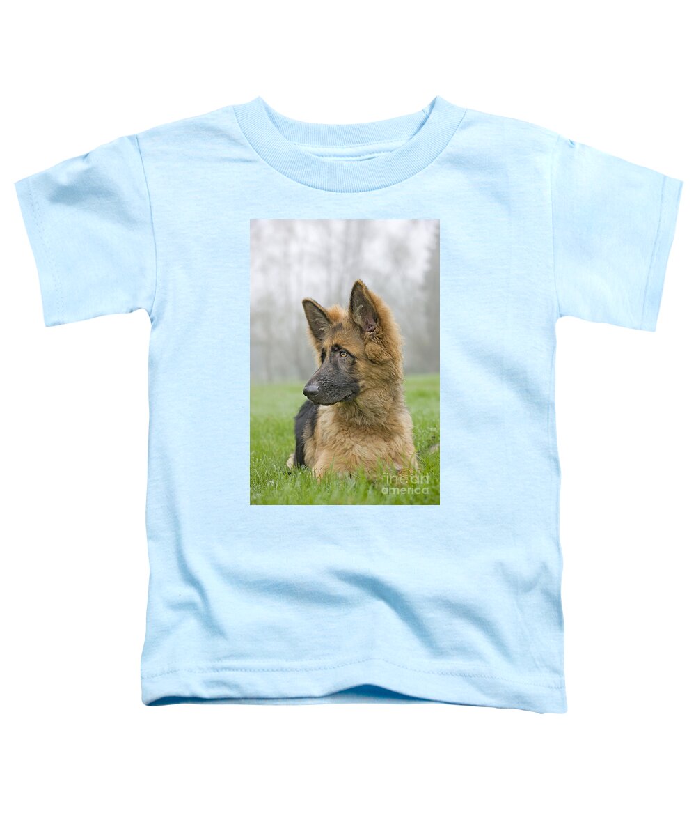 German Shepherd Toddler T-Shirt featuring the photograph German Shepherd Puppy by Johan De Meester