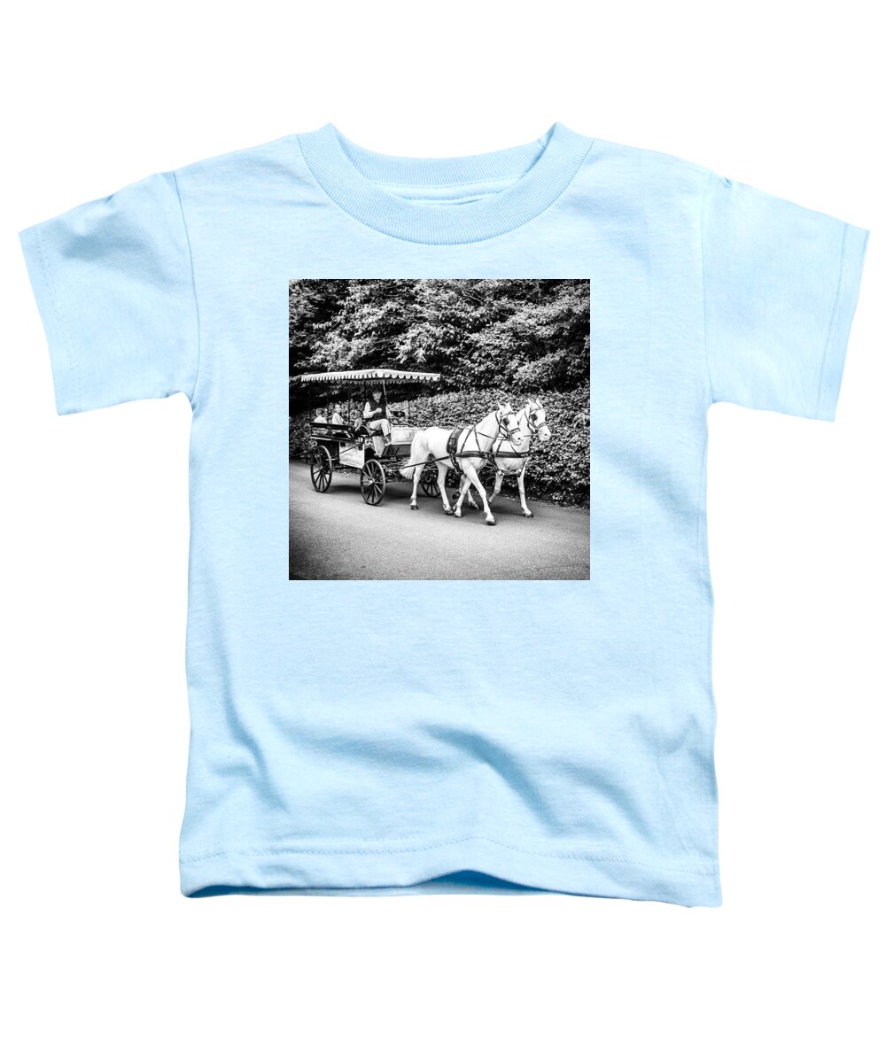 Horse Toddler T-Shirt featuring the photograph Horse And Carriage, N.ireland by Aleck Cartwright