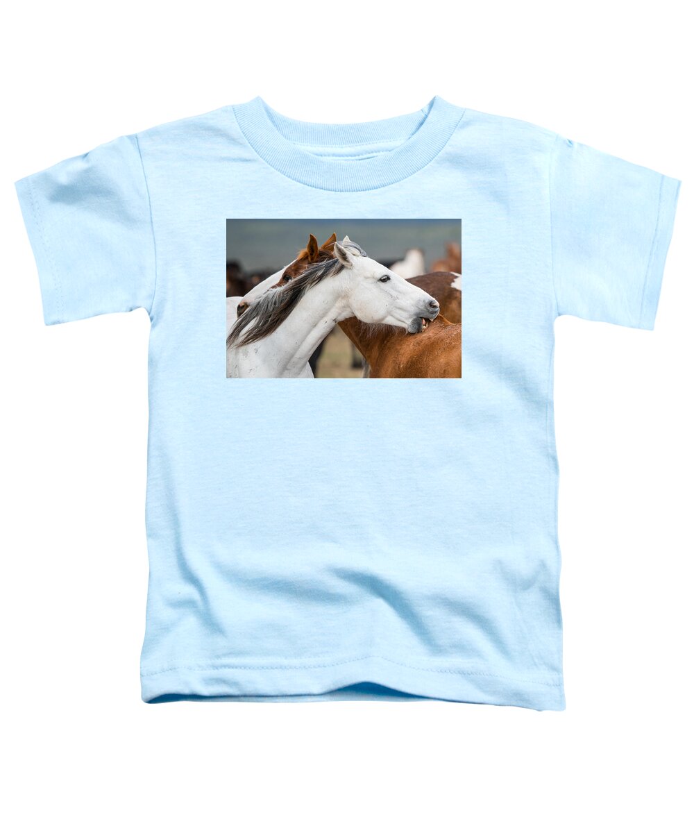 Horse Toddler T-Shirt featuring the photograph Horses Grooming by Michael Lustbader