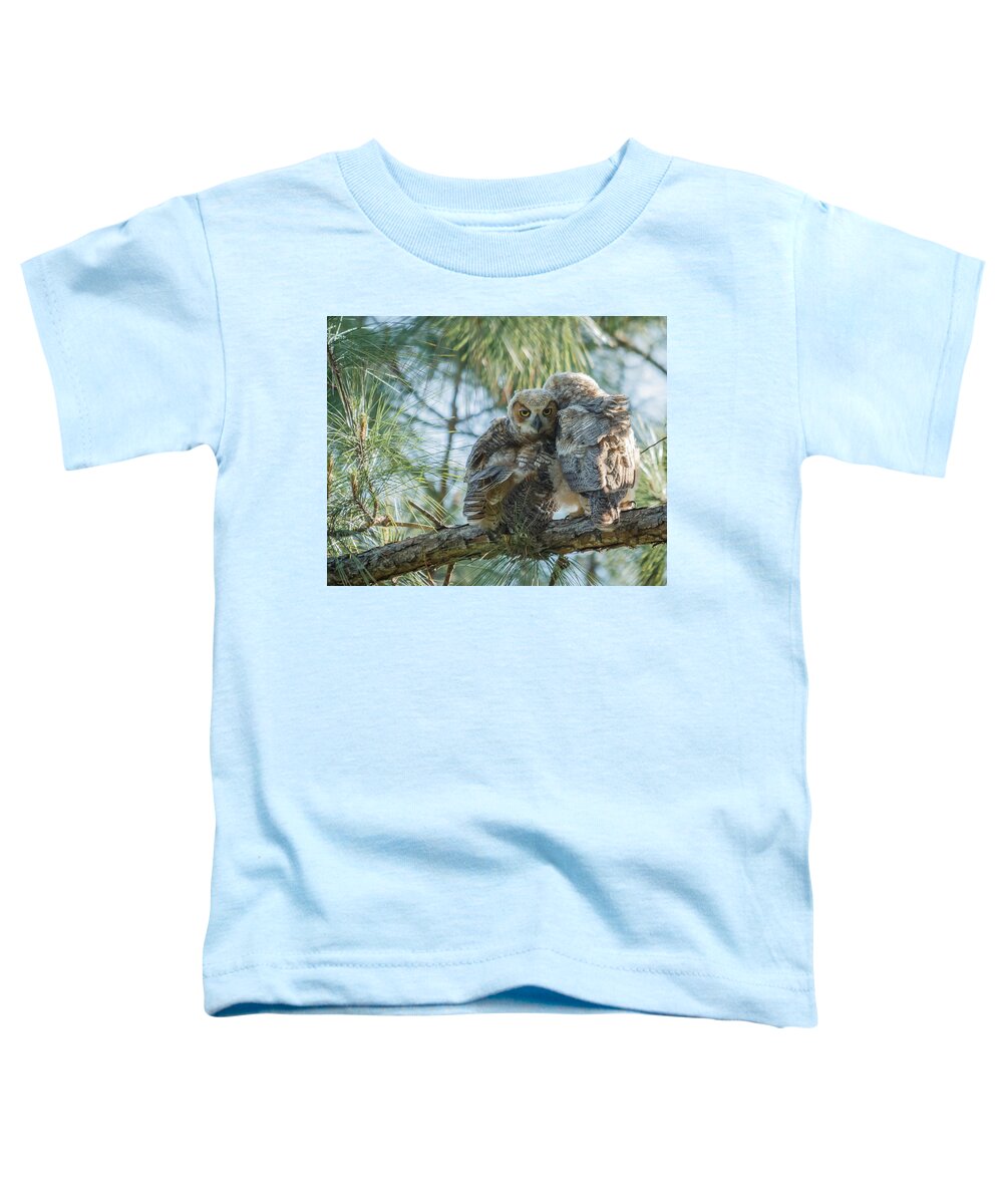 Florida Toddler T-Shirt featuring the photograph Immature Great Horned Owls by Jane Luxton