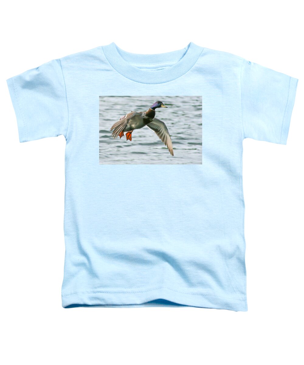 Duck Toddler T-Shirt featuring the photograph In For A Landing by Jeff Mize