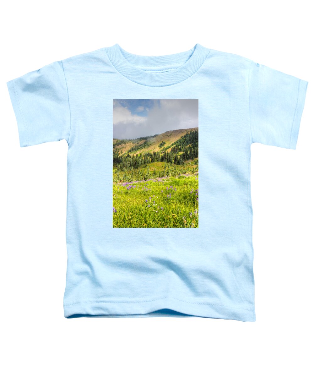Altitude Toddler T-Shirt featuring the photograph It Couldn't Be Prettier by Heidi Smith