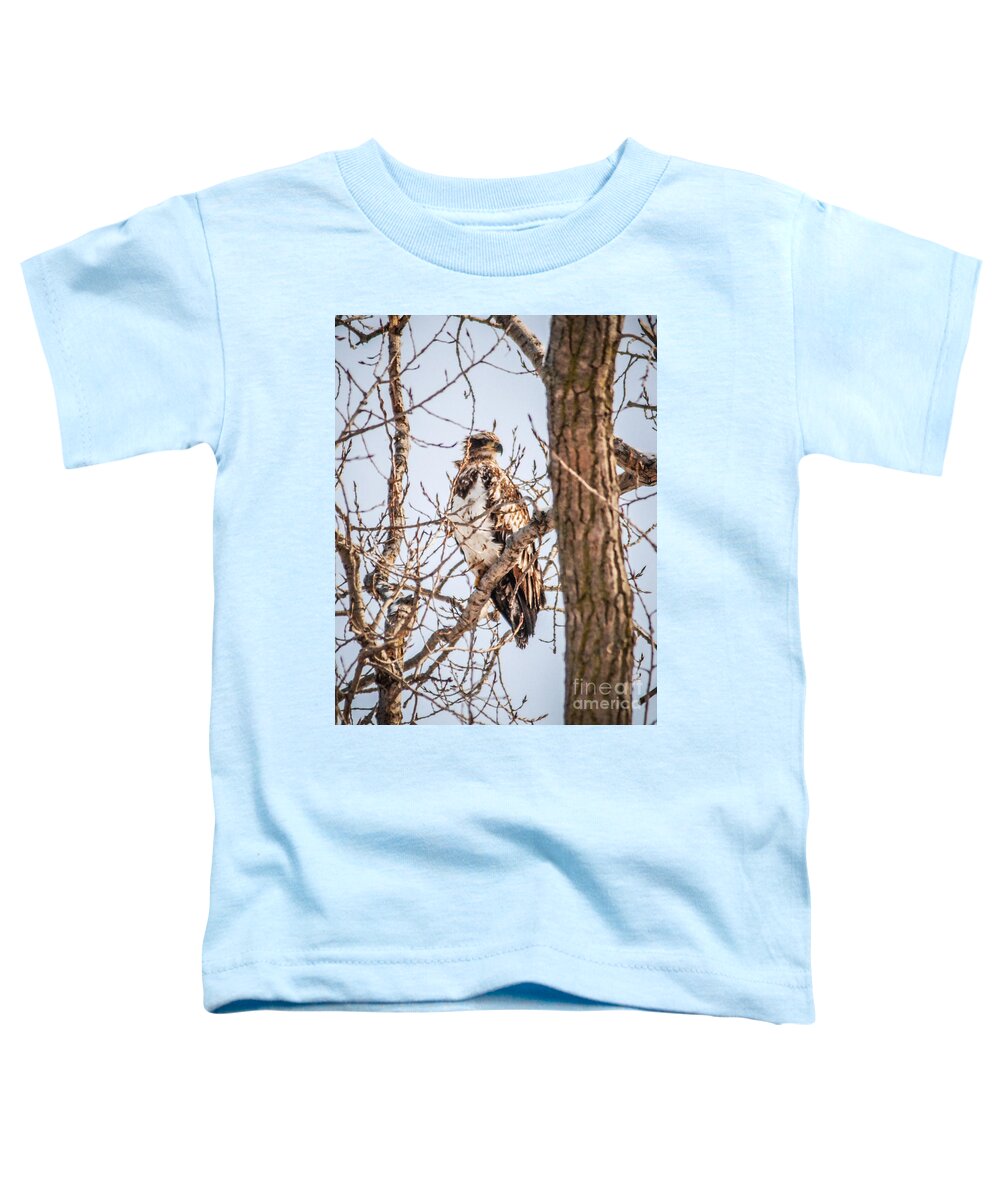 Eagle Toddler T-Shirt featuring the photograph Juvenile Eagle by Grace Grogan