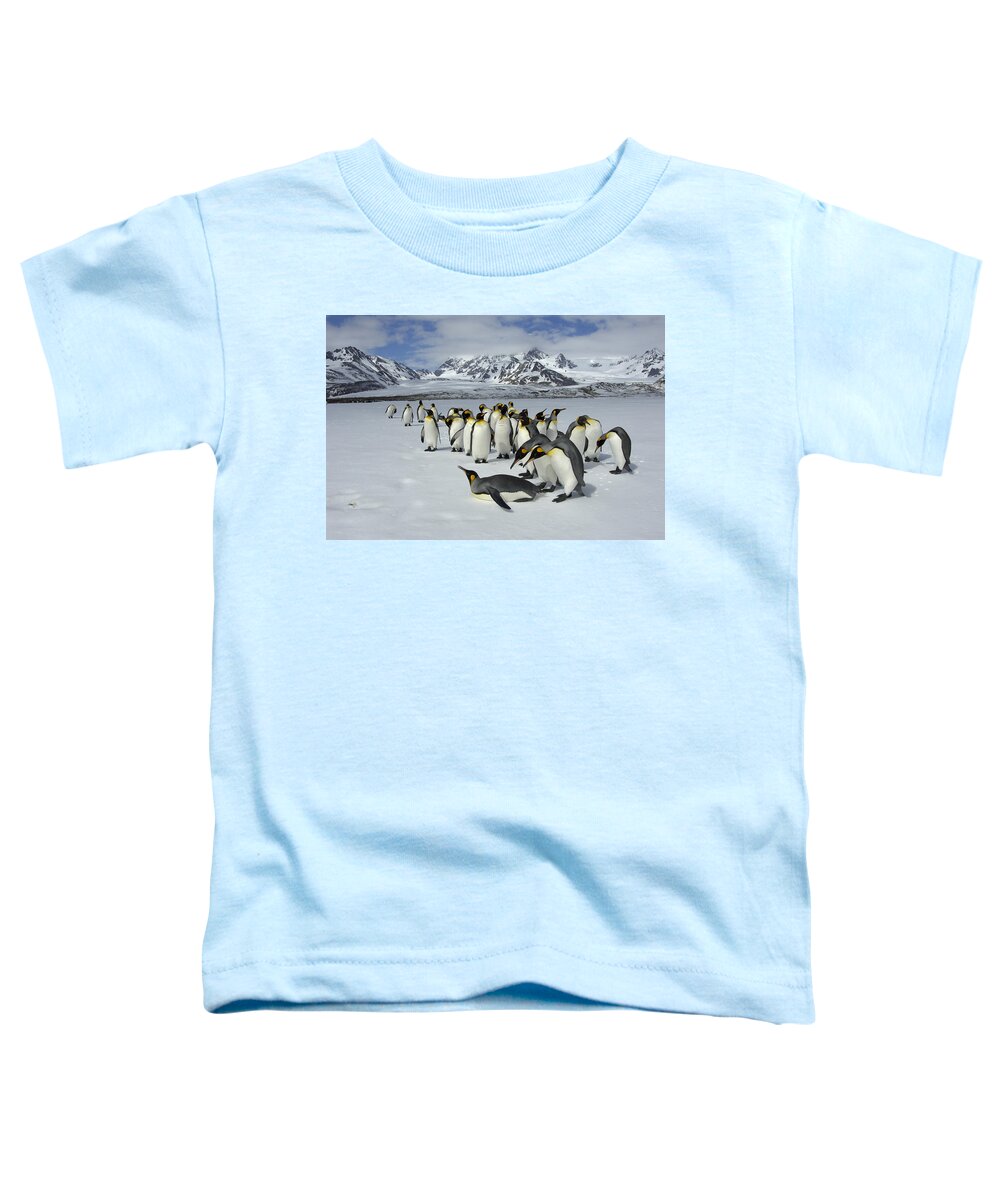 Flpa Toddler T-Shirt featuring the photograph King Penguins St Andrews Bay South by Malcolm Schuyl