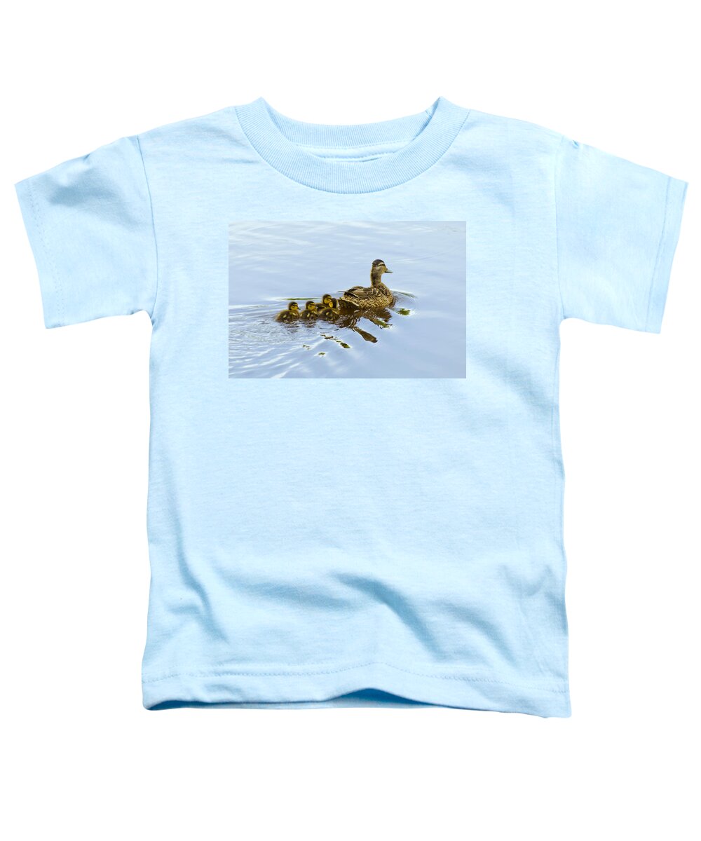 Birds Toddler T-Shirt featuring the photograph Mallard and Chicks by Flees Photos