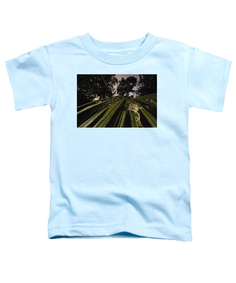 Cyril Ruoso Toddler T-Shirt featuring the photograph Manaus Slender-legged Treefrog by Cyril Ruoso