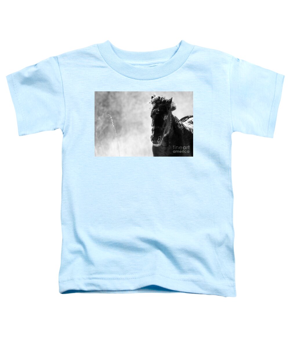 Landscape Toddler T-Shirt featuring the photograph Mane Blown by Cheryl Baxter