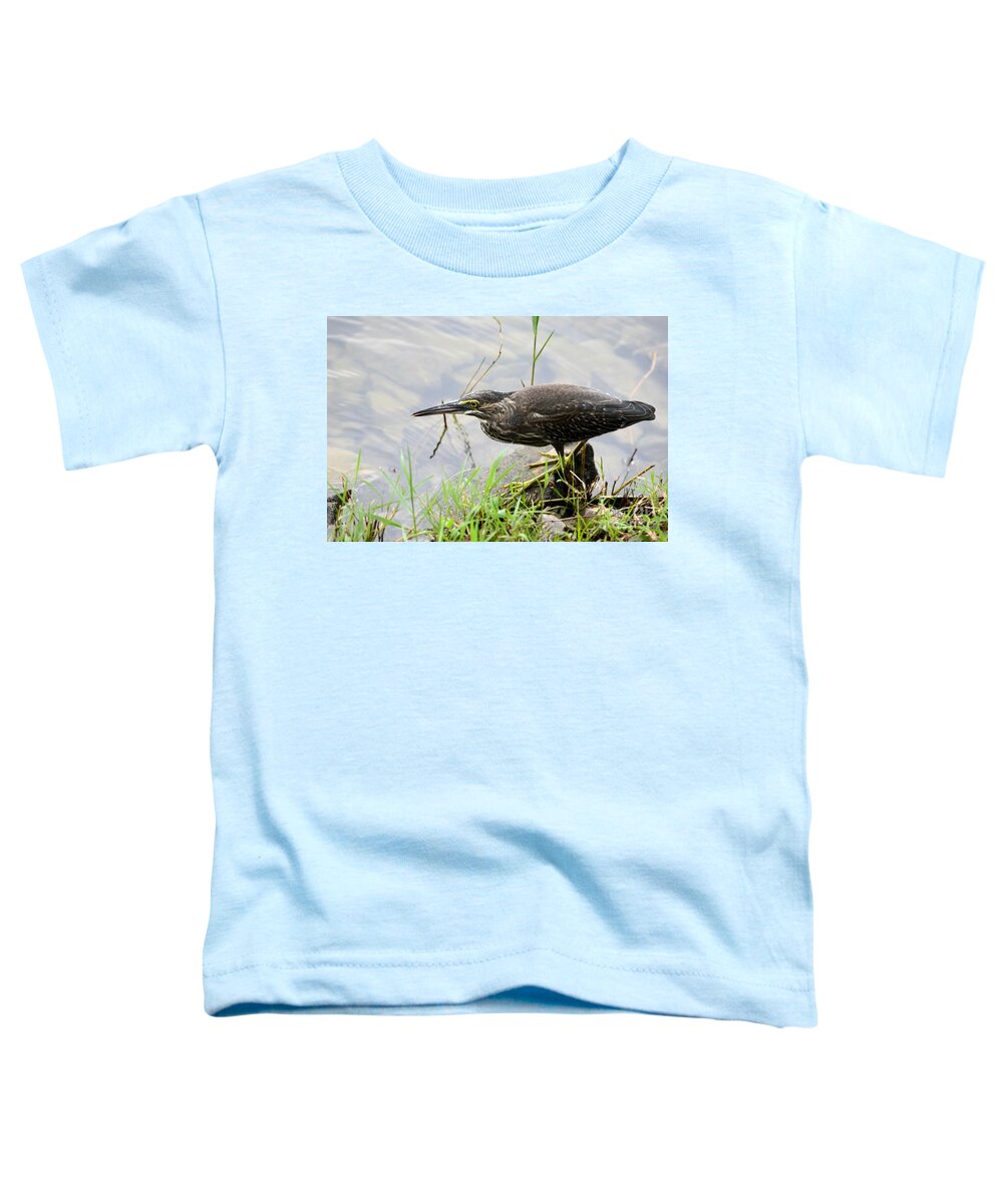 Heron Toddler T-Shirt featuring the photograph Mangrove Heron bird walks by Singapore lake by Imran Ahmed