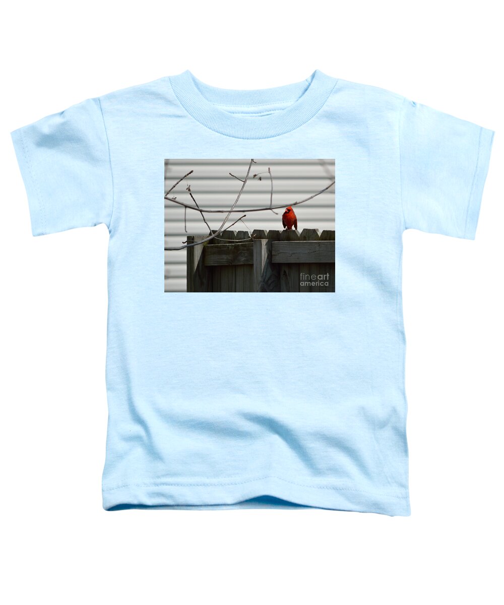 Cardinal Toddler T-Shirt featuring the photograph On The Fence by Alys Caviness-Gober