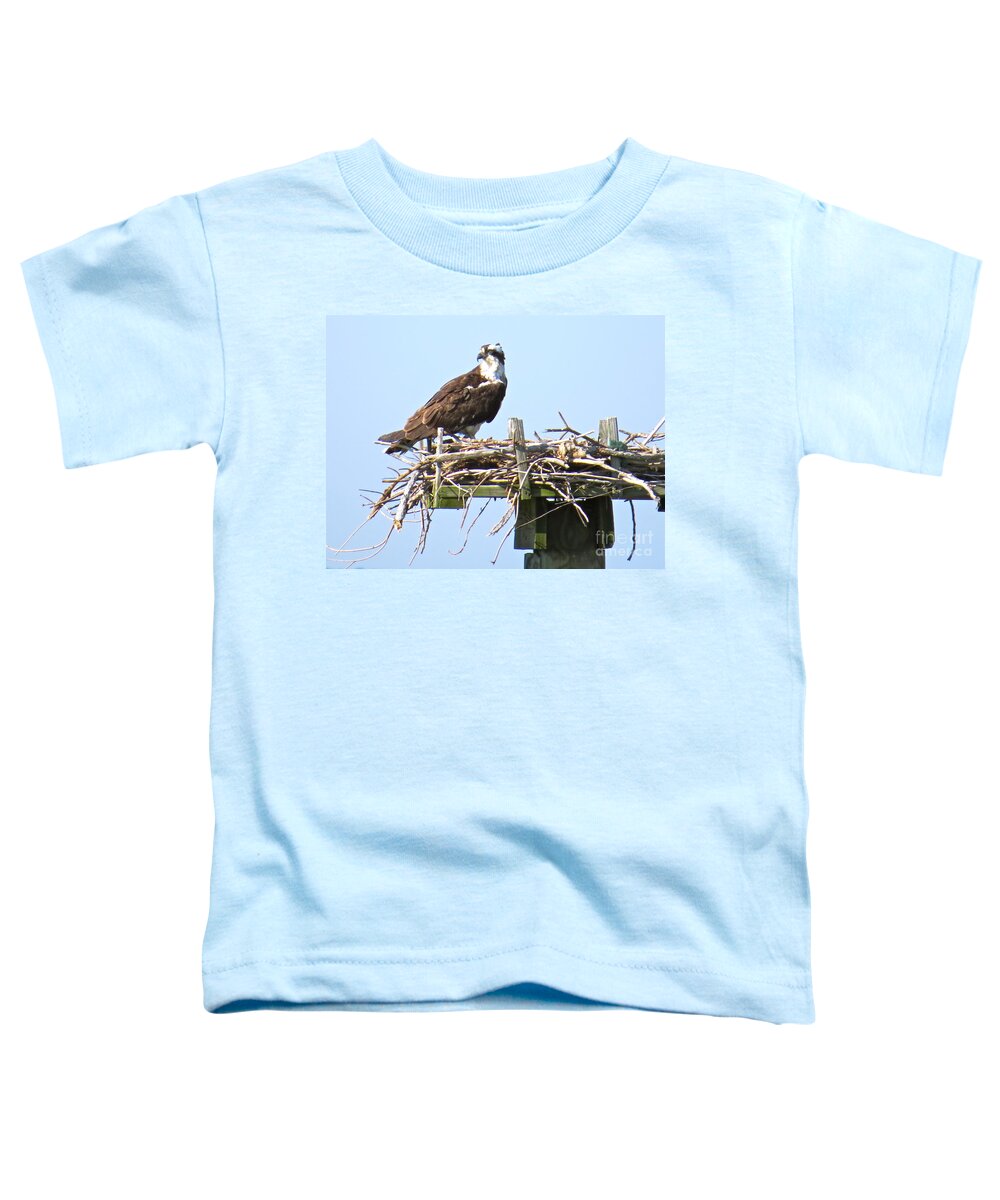 Osprey Toddler T-Shirt featuring the photograph Osprey On The Chesapeake Bay by Nancy Patterson