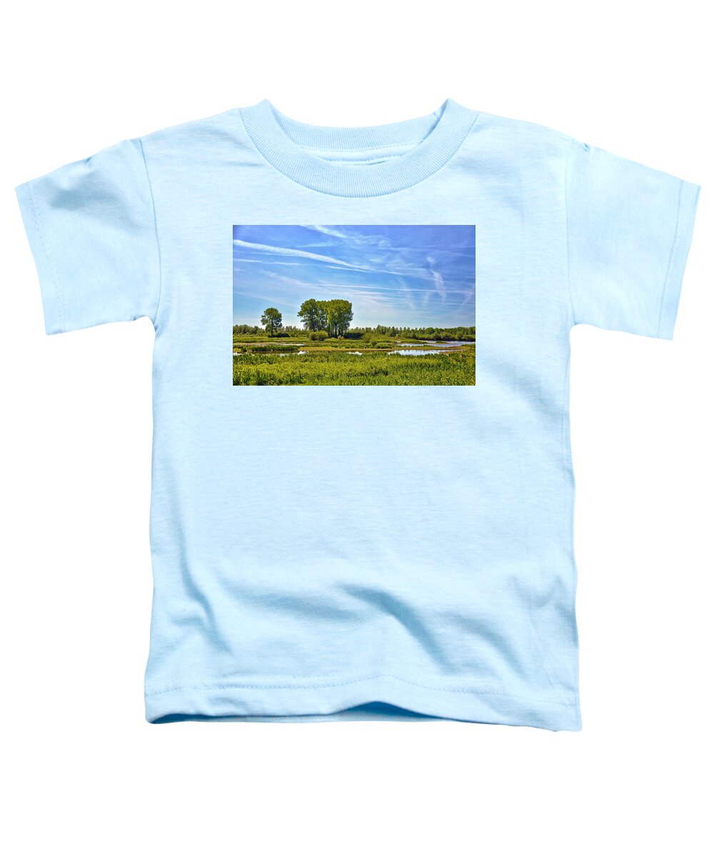 Netherlands Toddler T-Shirt featuring the photograph Ossenwaard near Deventer by Frans Blok