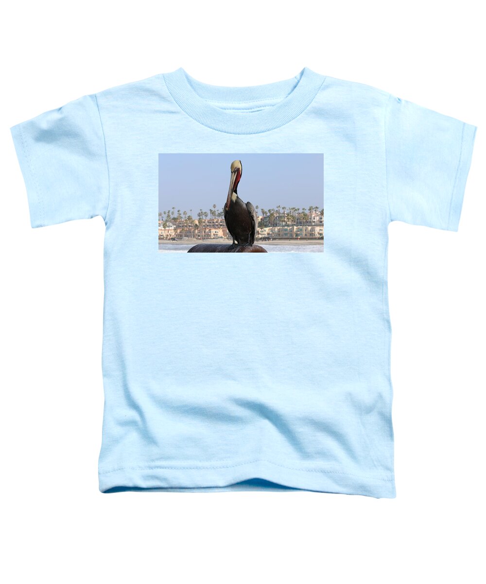 Wild Toddler T-Shirt featuring the photograph Pelican by Christy Pooschke