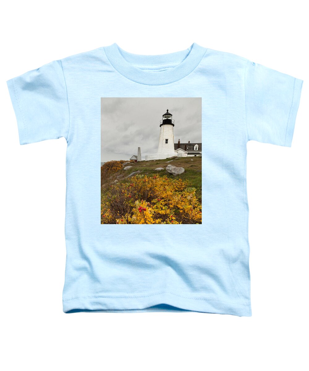 Lighthouse Toddler T-Shirt featuring the photograph Pemaquid Point Lighthouse and Sea Roses by David Smith