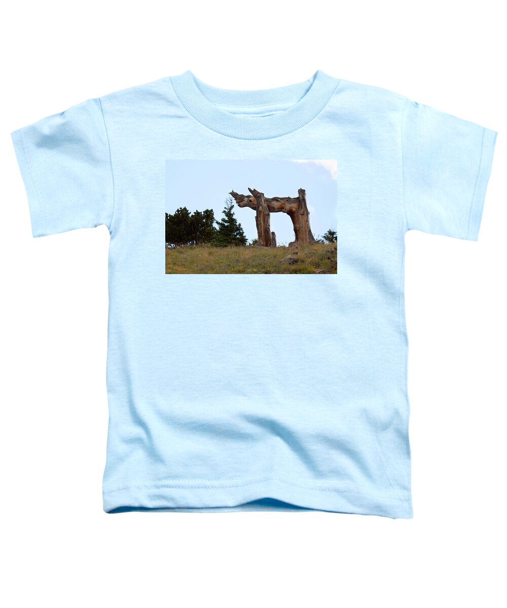Pi Toddler T-Shirt featuring the photograph Pi in the Sky by Jim Garrison