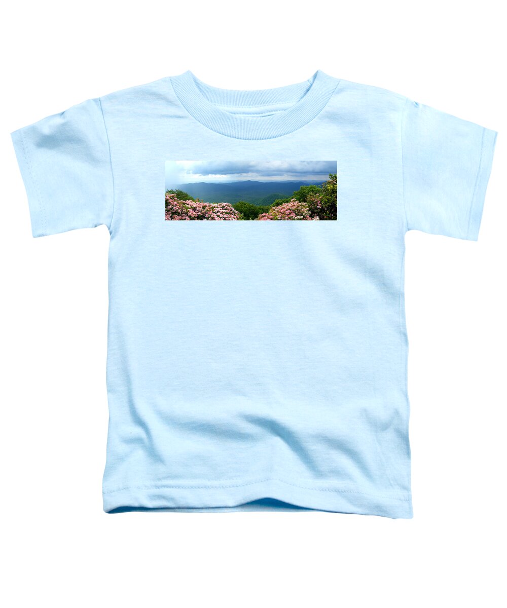Pink Beds Toddler T-Shirt featuring the photograph Pink Beds in the Summer by Duane McCullough