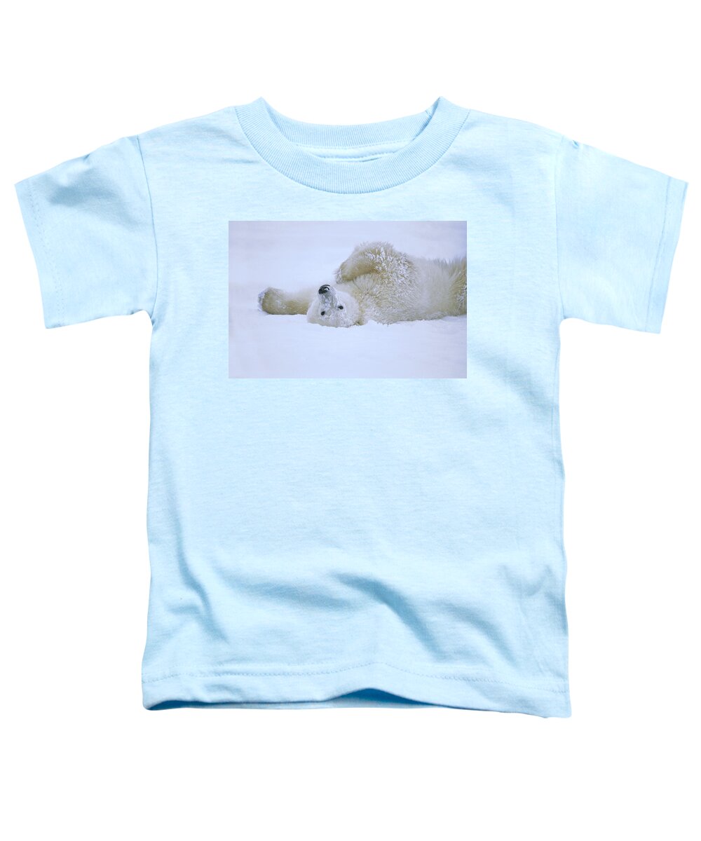 Feb0514 Toddler T-Shirt featuring the photograph Polar Bear Rolling In Snow Hudson Bay by Konrad Wothe