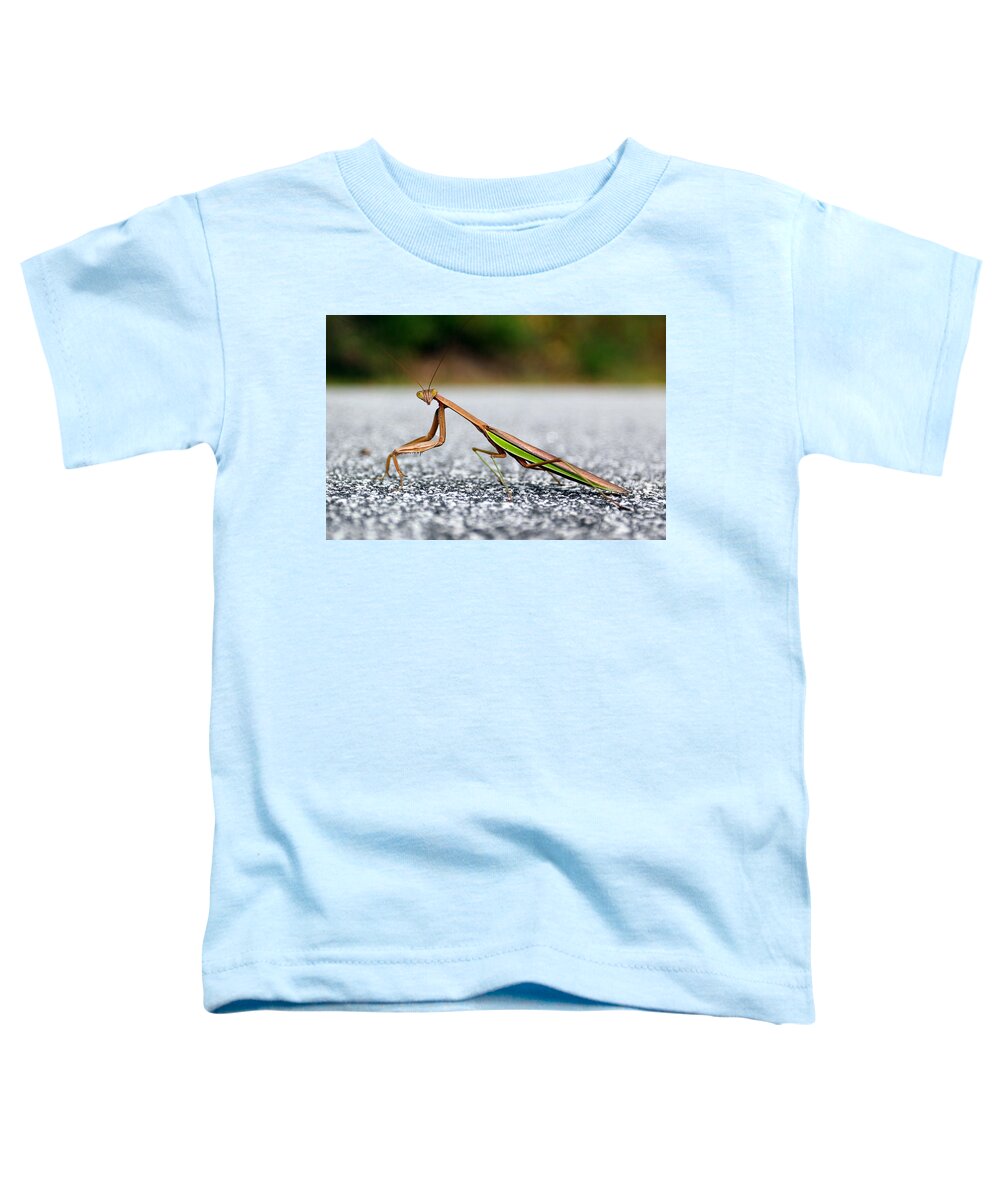 Insects Toddler T-Shirt featuring the photograph Posing for the Camera by Jennifer Robin