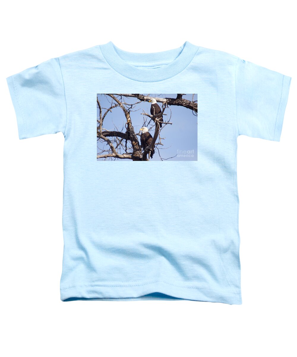Colorado Toddler T-Shirt featuring the photograph Proud Pair by Bob Hislop