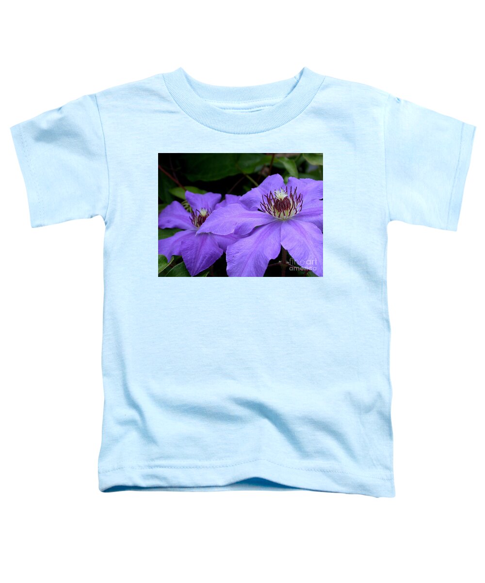 Clematis Toddler T-Shirt featuring the photograph Purple Clematis by Living Color Photography Lorraine Lynch