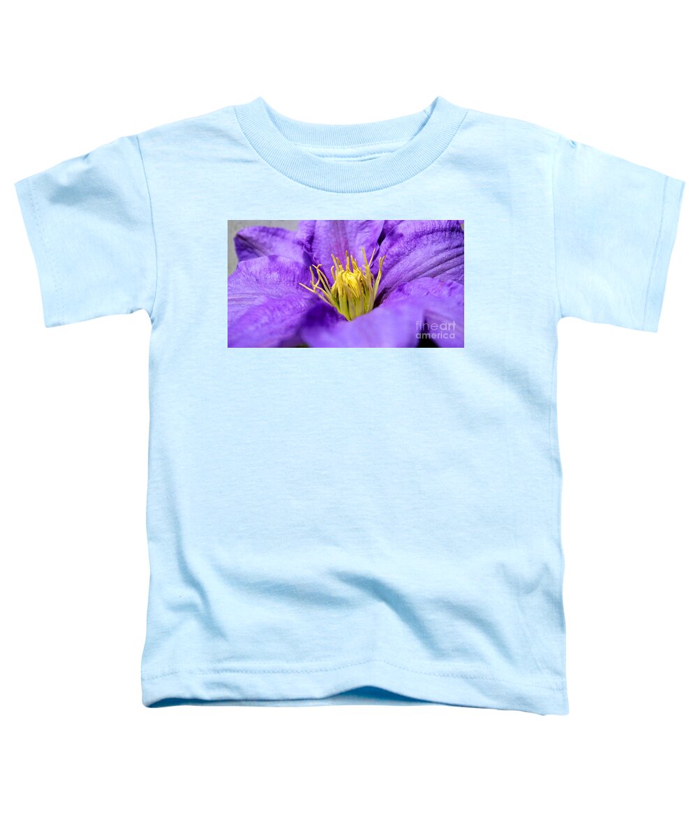 Clematis Toddler T-Shirt featuring the photograph Purple Elegance by Judy Palkimas