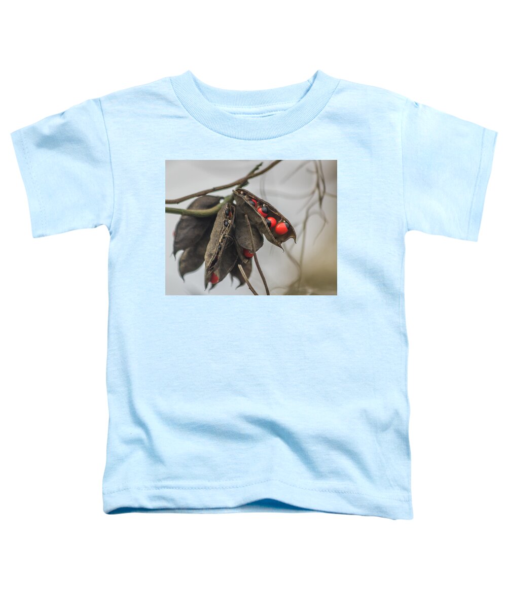 Circle B Bar Reserve Toddler T-Shirt featuring the photograph Rosary Pea by Jane Luxton