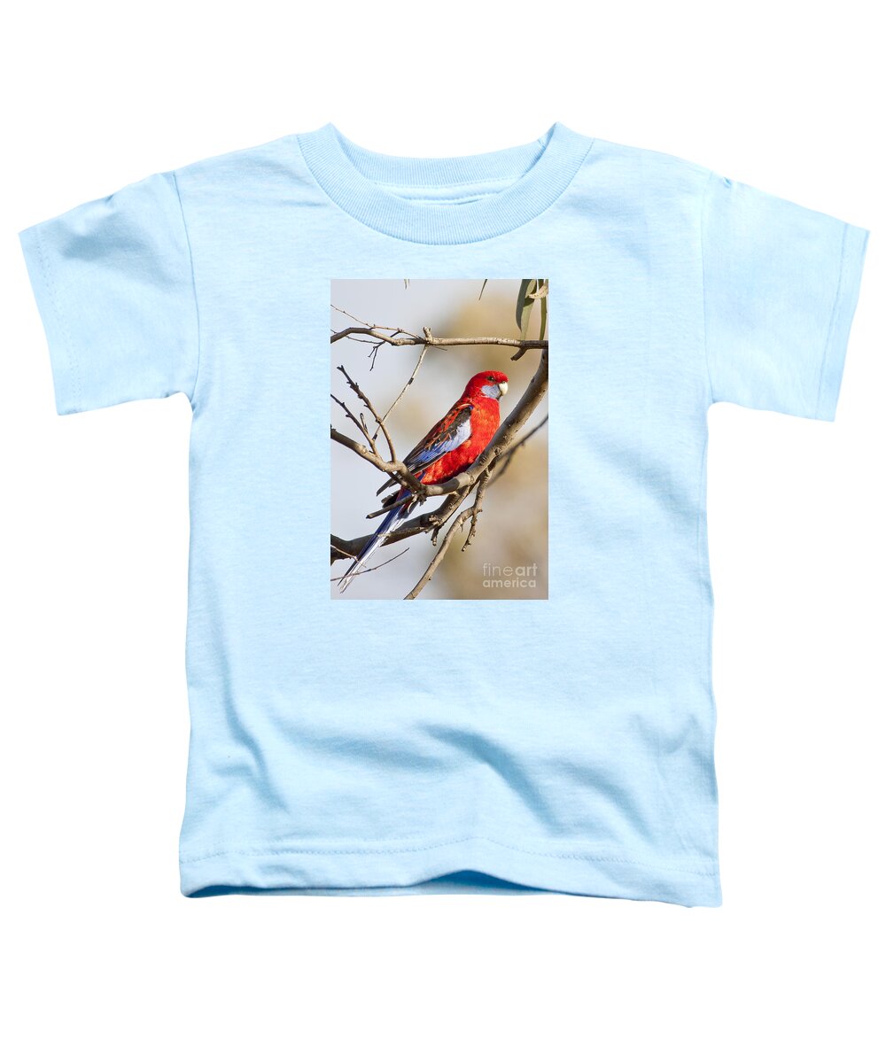 Australia Toddler T-Shirt featuring the photograph Crimson Rosella 1 - Australia by Steven Ralser