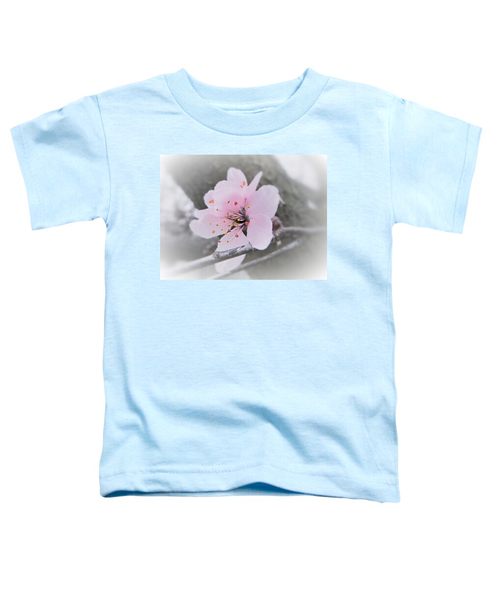 Sakura Toddler T-Shirt featuring the photograph Sakura Blossom by Marianna Mills