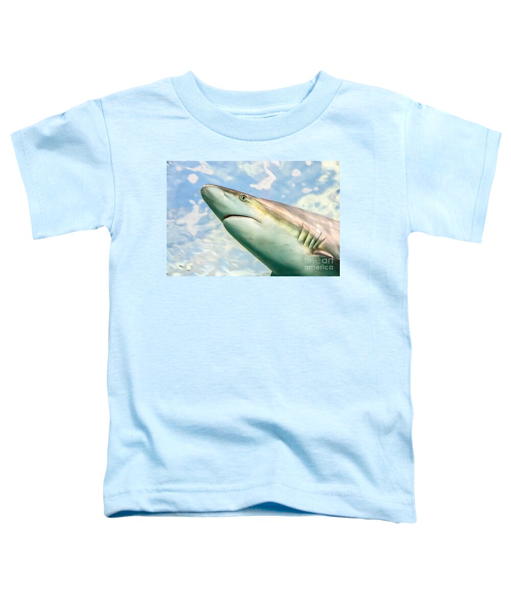 Shark Week Toddler T-Shirt featuring the photograph Shark Profile by Cheryl Baxter