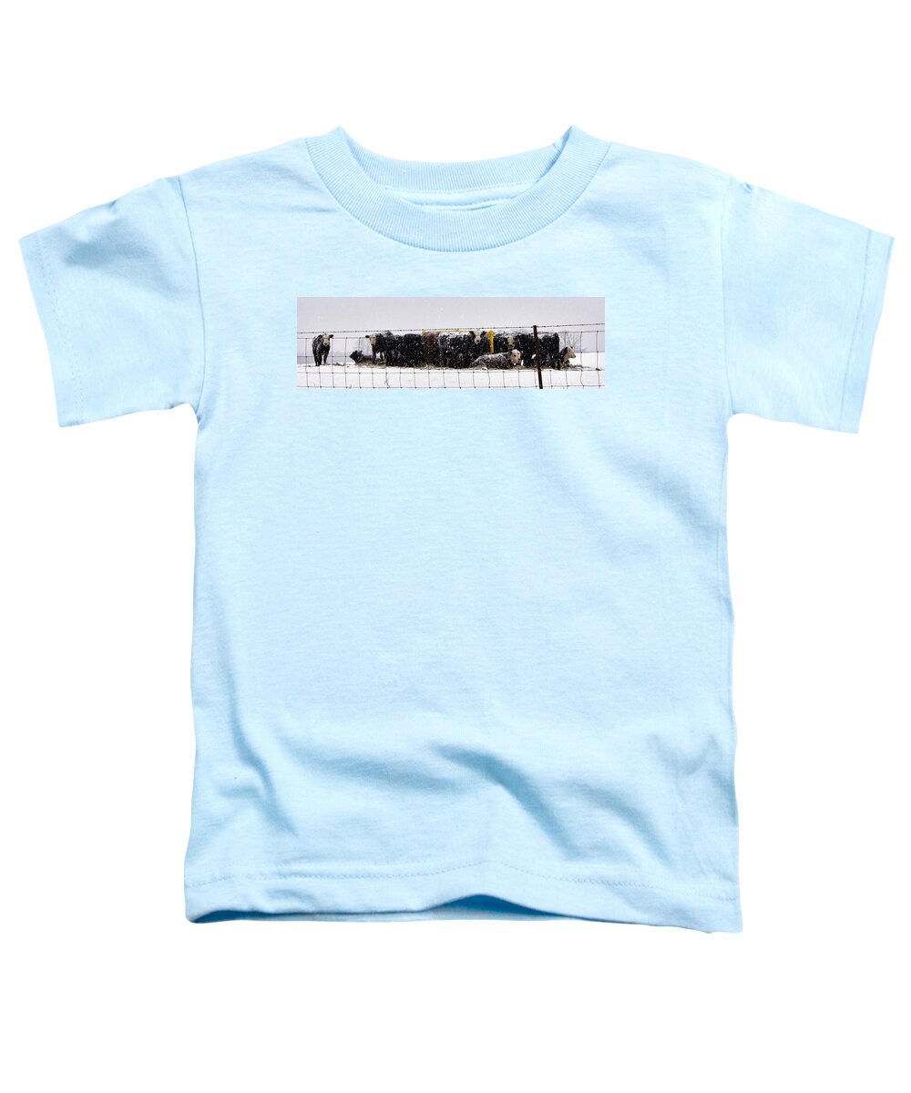 Snow Toddler T-Shirt featuring the photograph Snow Calves by Cricket Hackmann