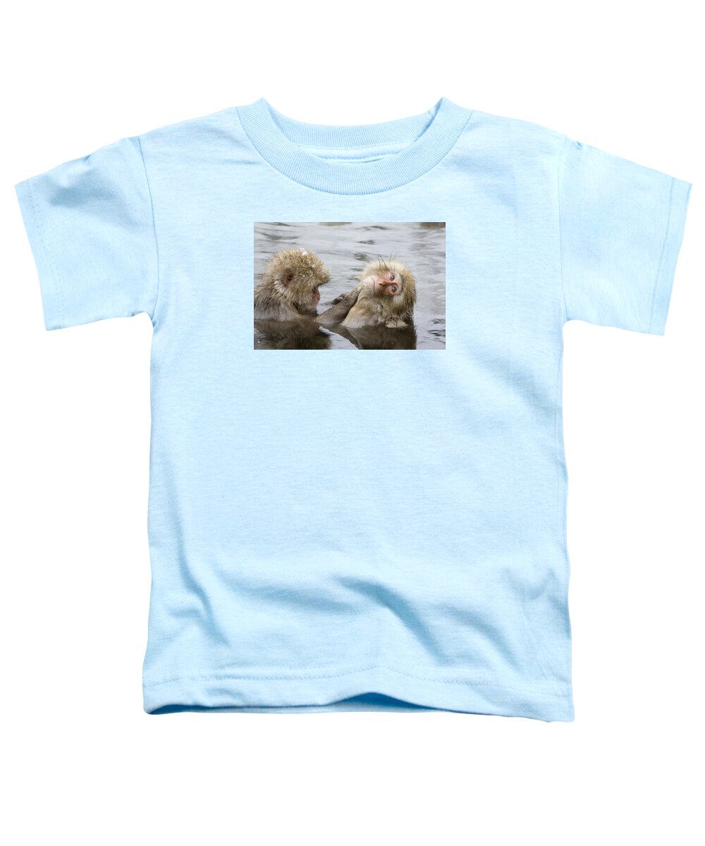 Flpa Toddler T-Shirt featuring the photograph Snow Monkeys Grooming by Dickie Duckett