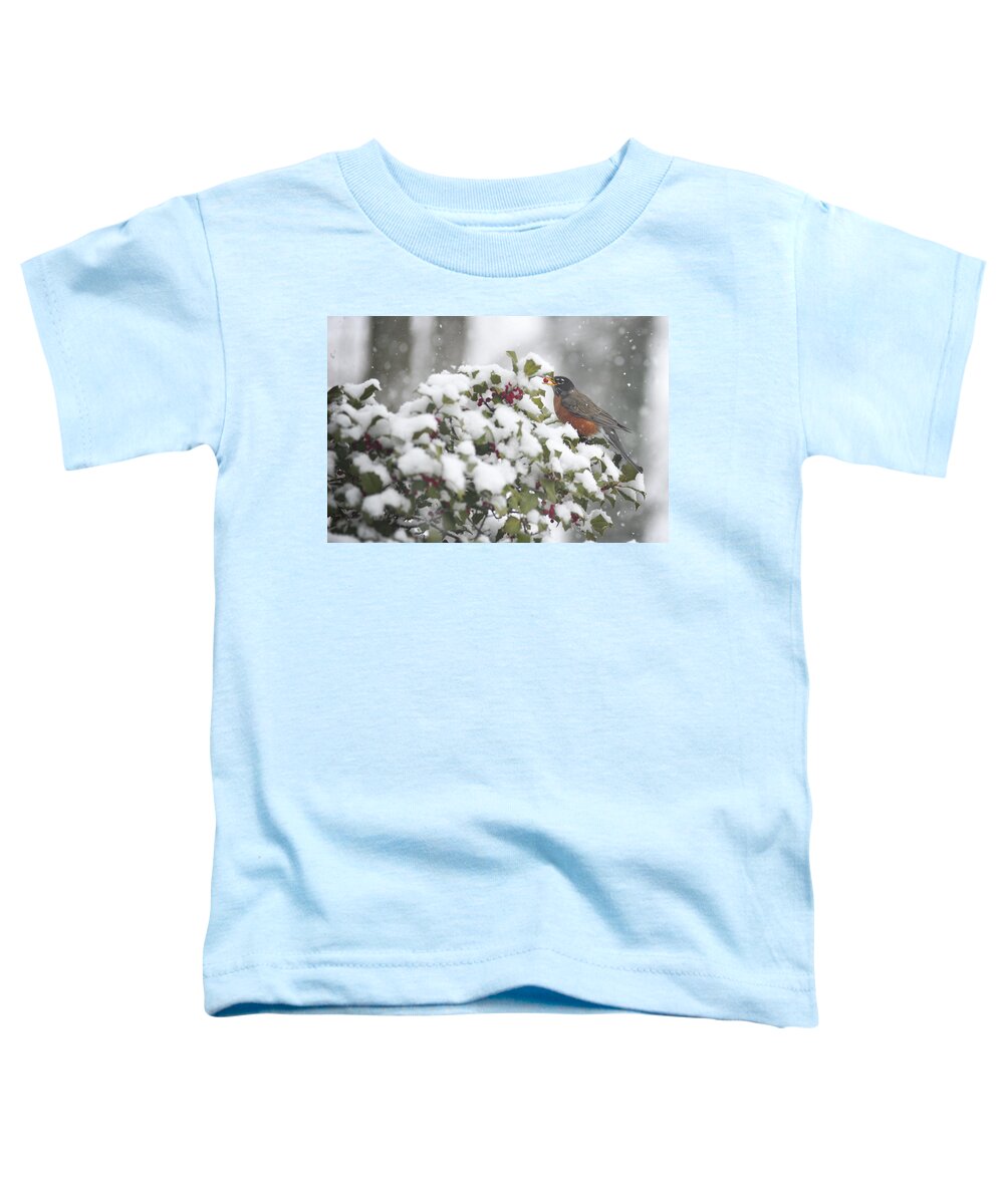 Snow Toddler T-Shirt featuring the photograph Snow Robin by Terry DeLuco