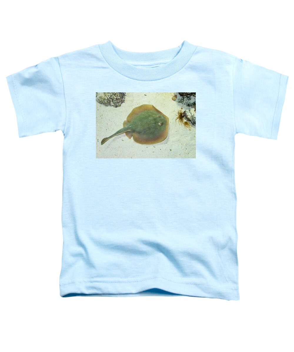 Stingray Toddler T-Shirt featuring the photograph Stingray by Andreas Berthold
