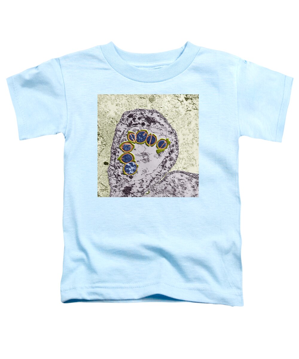 Pulmonary Inflammation Toddler T-Shirt featuring the photograph Streptococci In Lung Cell, Tem by Eye of Science