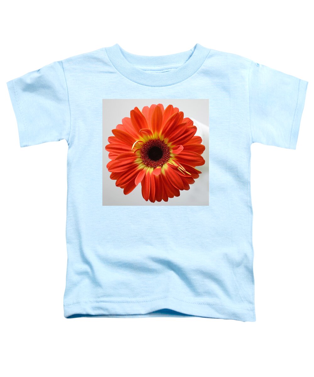 Flower Toddler T-Shirt featuring the photograph Sweet and Simple by Melanie Moraga