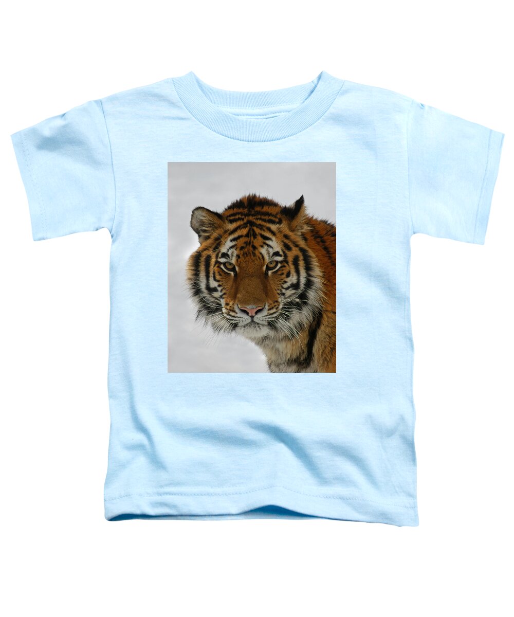 Tiger Toddler T-Shirt featuring the photograph The Look by Ernest Echols