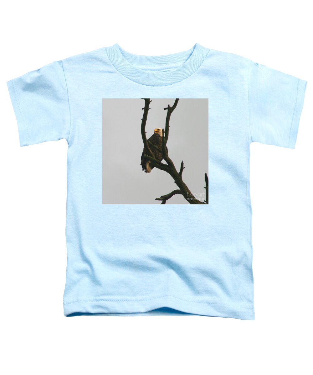 Eagle On Tree Toddler T-Shirt featuring the photograph Threatened by Neal Eslinger