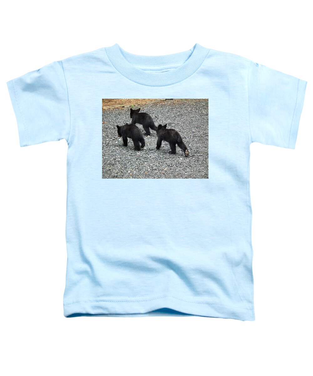 Young Toddler T-Shirt featuring the photograph Three Little Bears in Step by Jan Dappen