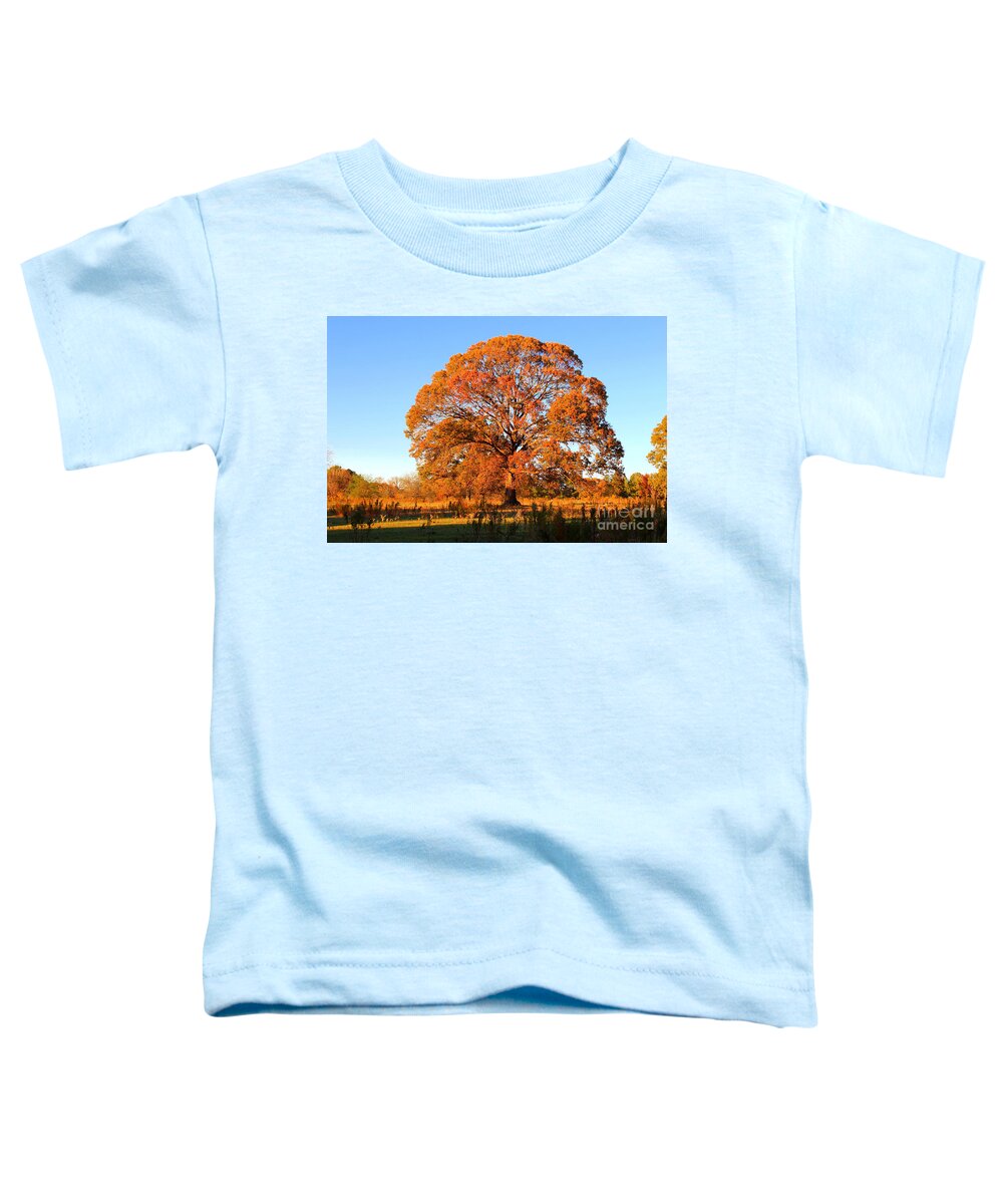 Orange Tree Toddler T-Shirt featuring the photograph Tree of Orange by Kathy White
