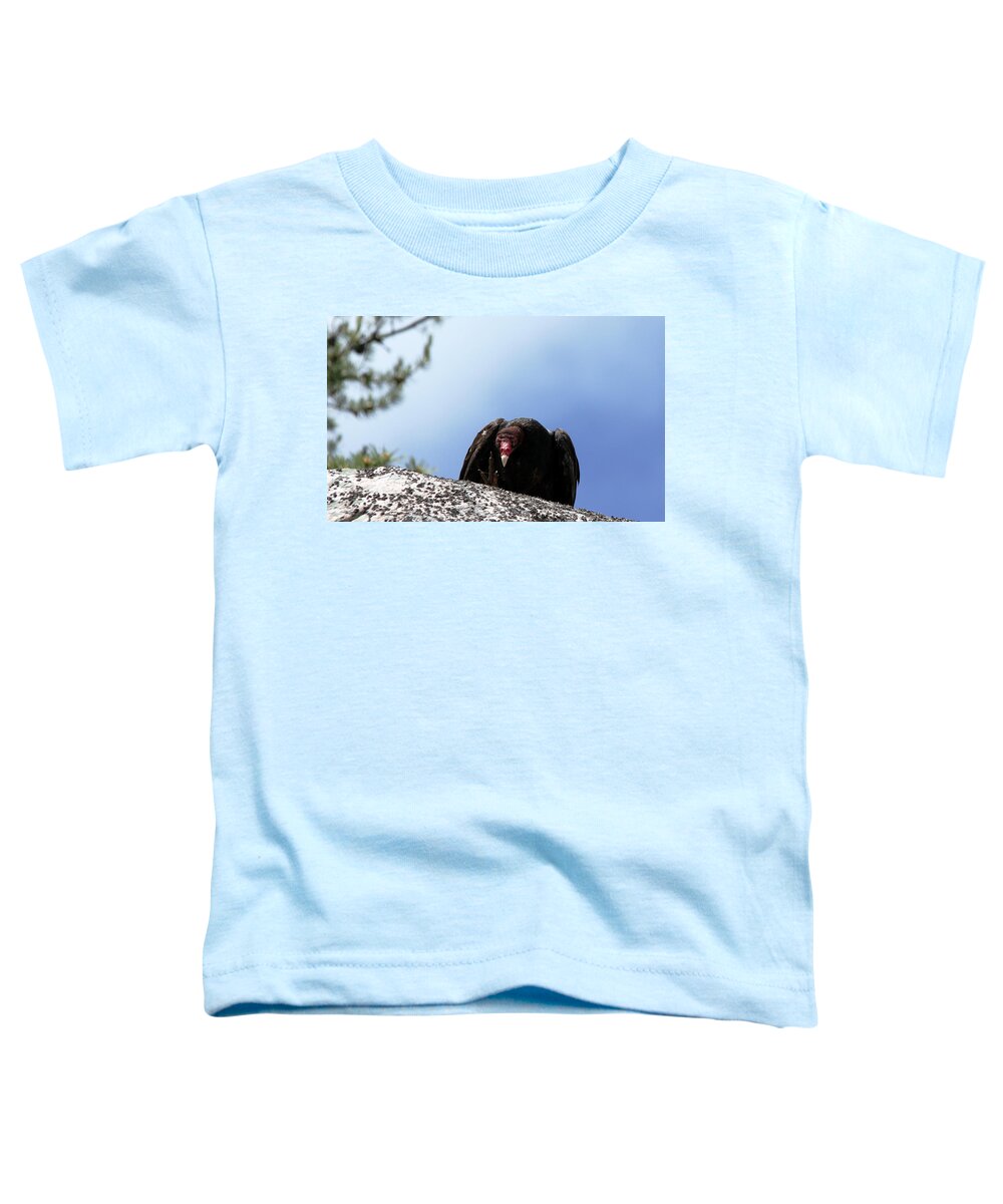 Vulture Toddler T-Shirt featuring the photograph Turkey Vulture Attitude by Debbie Oppermann