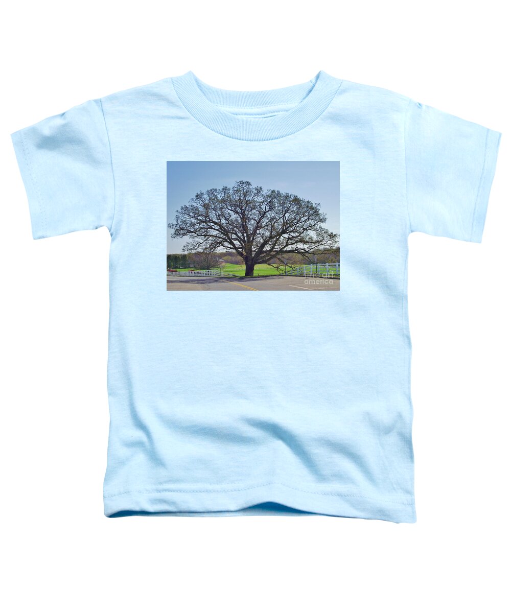 Horse Barn Hill At The University Of Connecticut Toddler T-Shirt featuring the photograph UConn Oak in Spring by Michelle Welles